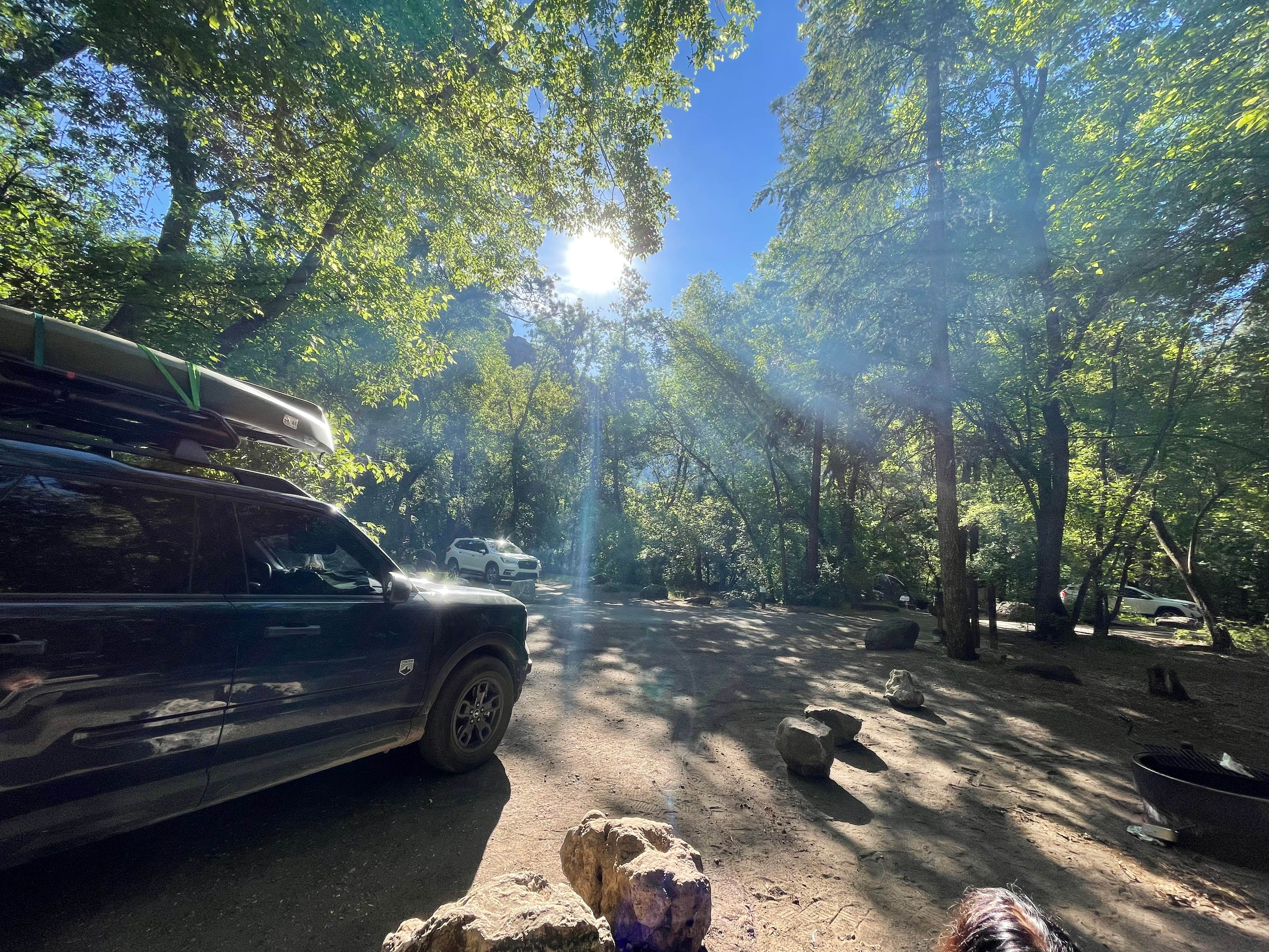 Cave Springs The Dyrt