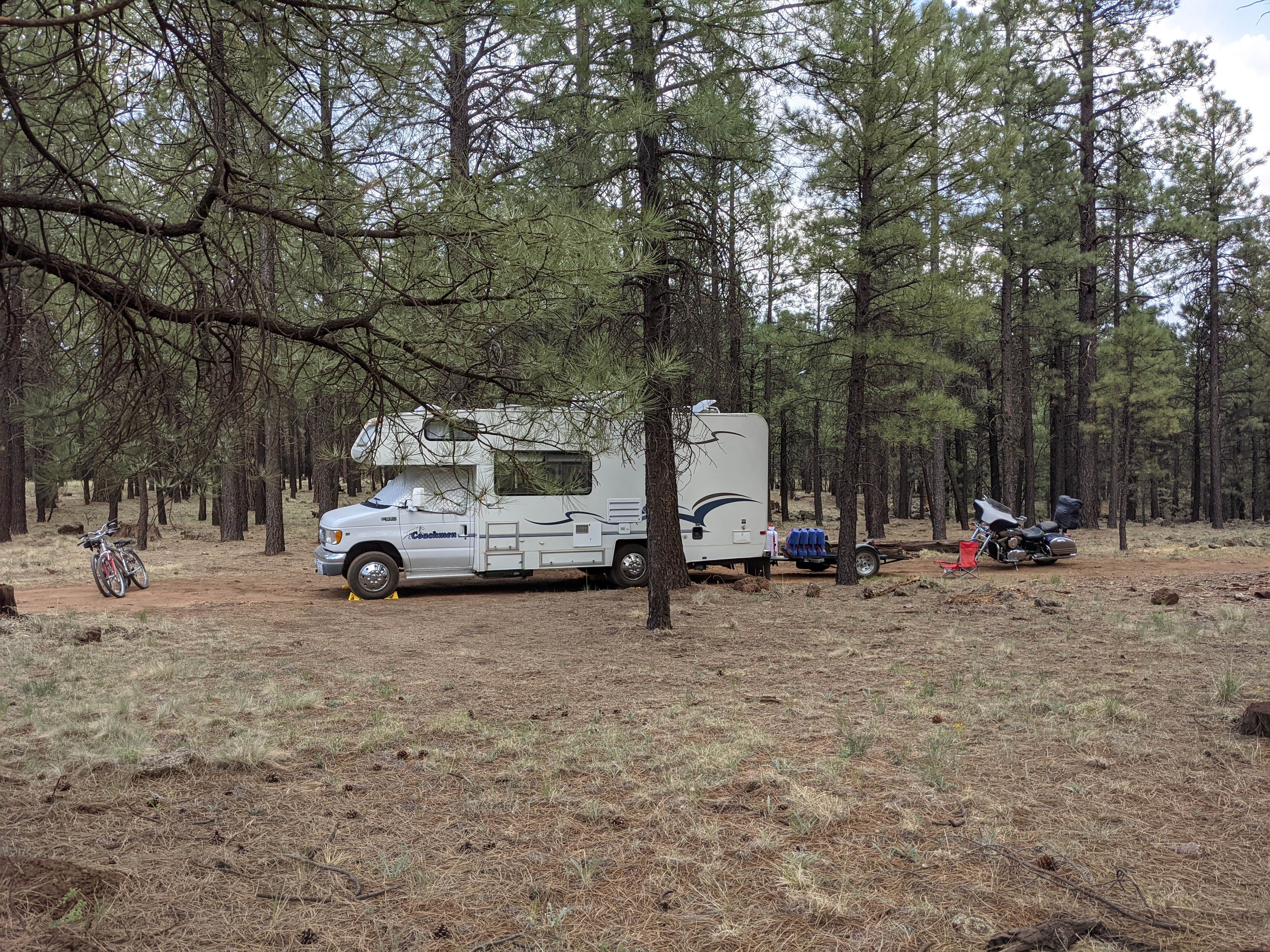 Camper submitted image from Wing Mountain Dispersed Camping - 4