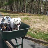 Review photo of Canoe Landing Group Campsite — James River State Park by Katrin M., June 7, 2018