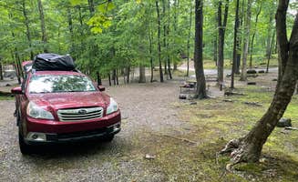 Jesse C.'s photo of rv camping at Great Divide Campground near Washington, NJ