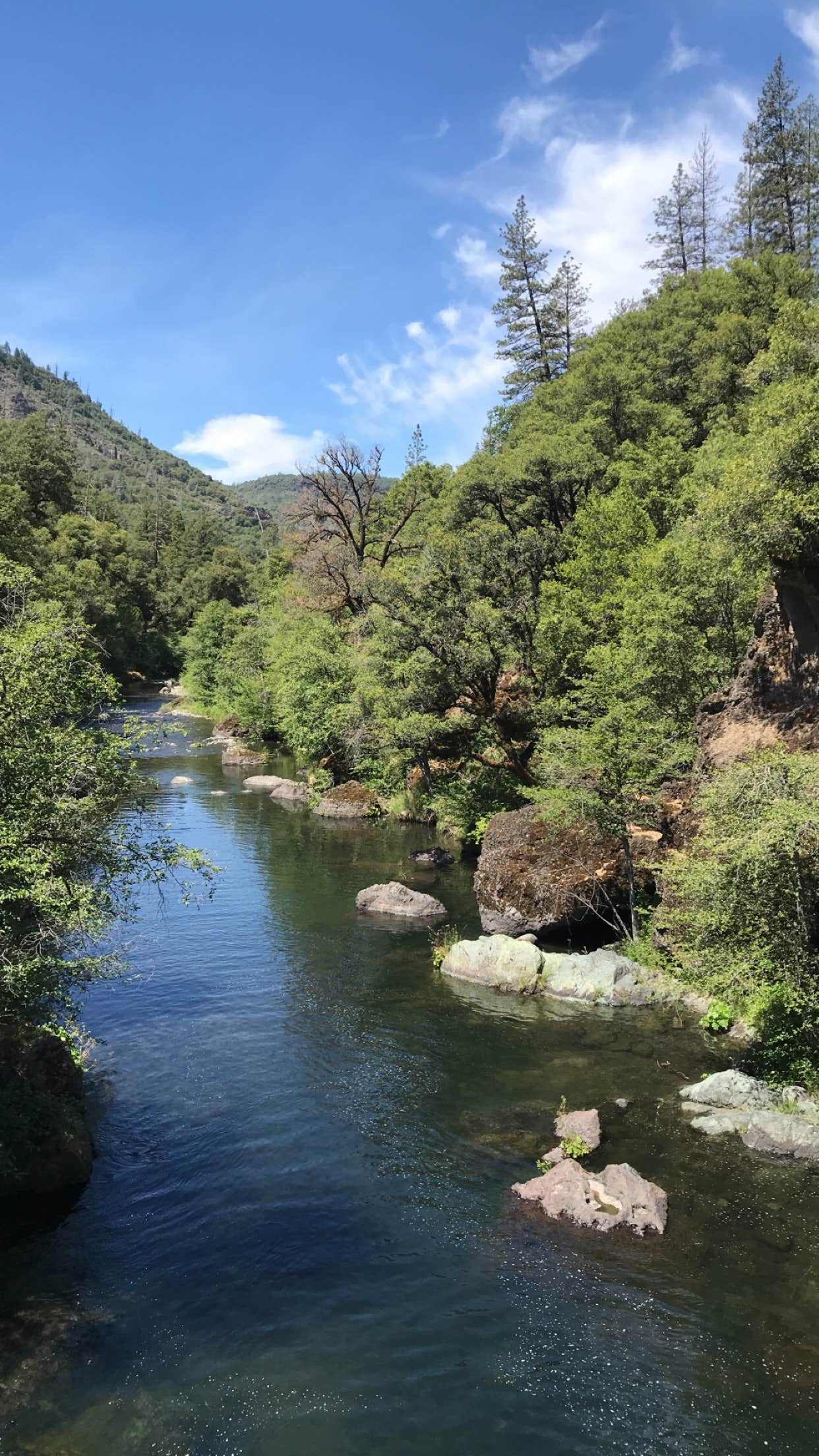 Camper submitted image from Black Rock Campground (Lassen NF) - 2