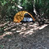 Review photo of Black Rock Campground (Lassen NF) by alissa C., June 7, 2021