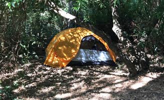 alissa C.'s photo of tent camping at Black Rock Campground (Lassen NF) near Burney, CA