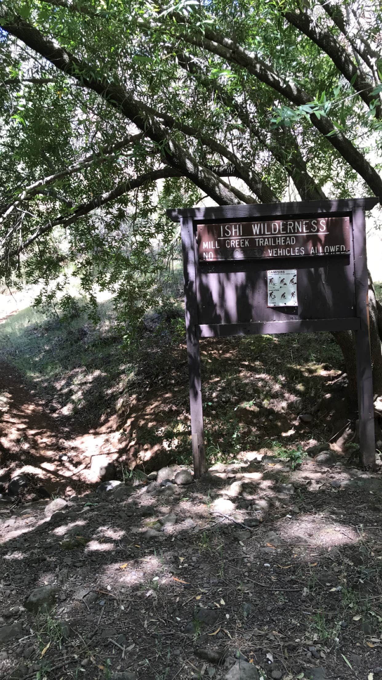 Camper submitted image from Black Rock Campground (Lassen NF) - 2