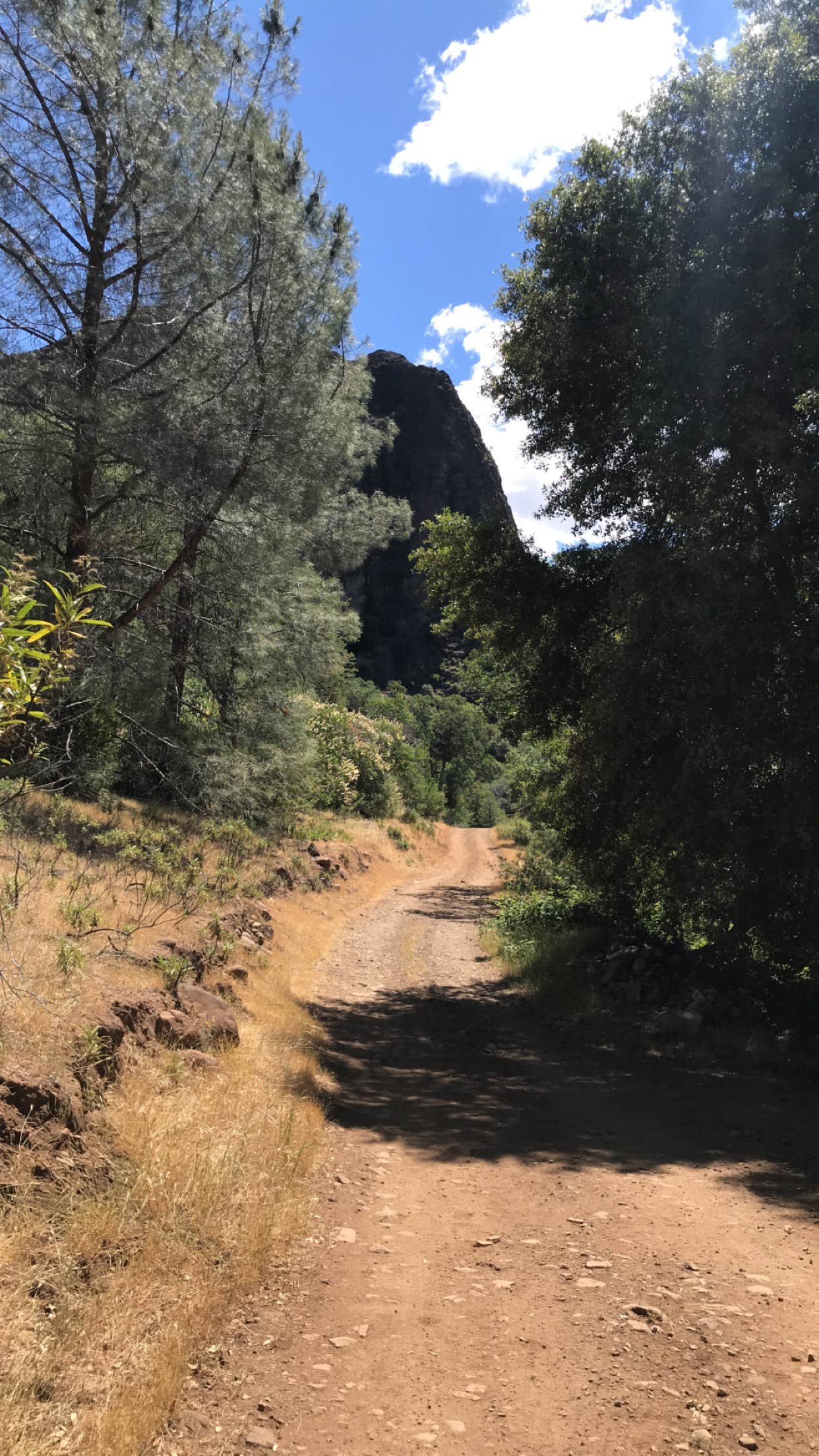 Camper submitted image from Black Rock Campground (Lassen NF) - 4