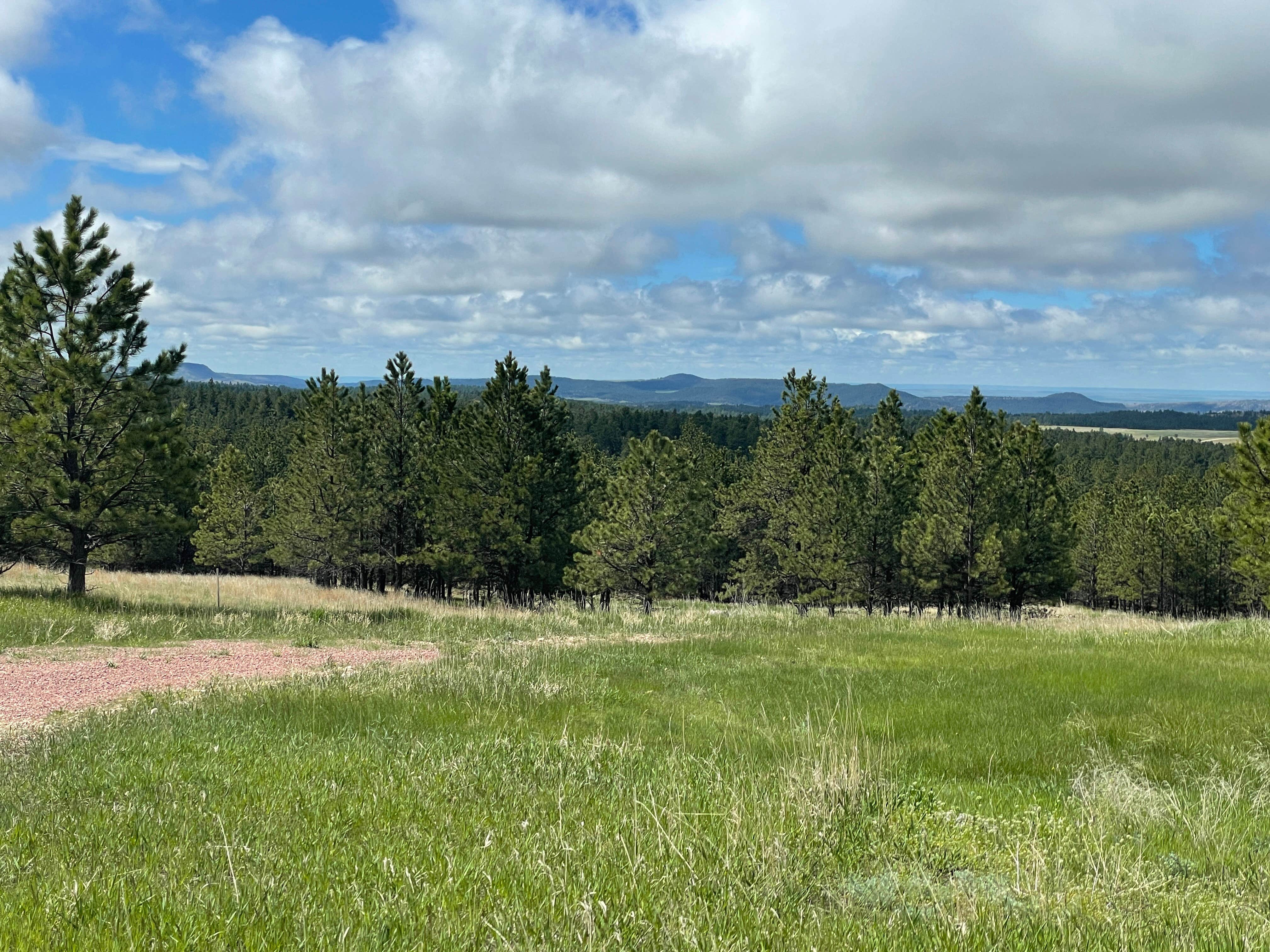 Camper-submitted photo at Opulent Acres near Buffalo Gap, SD