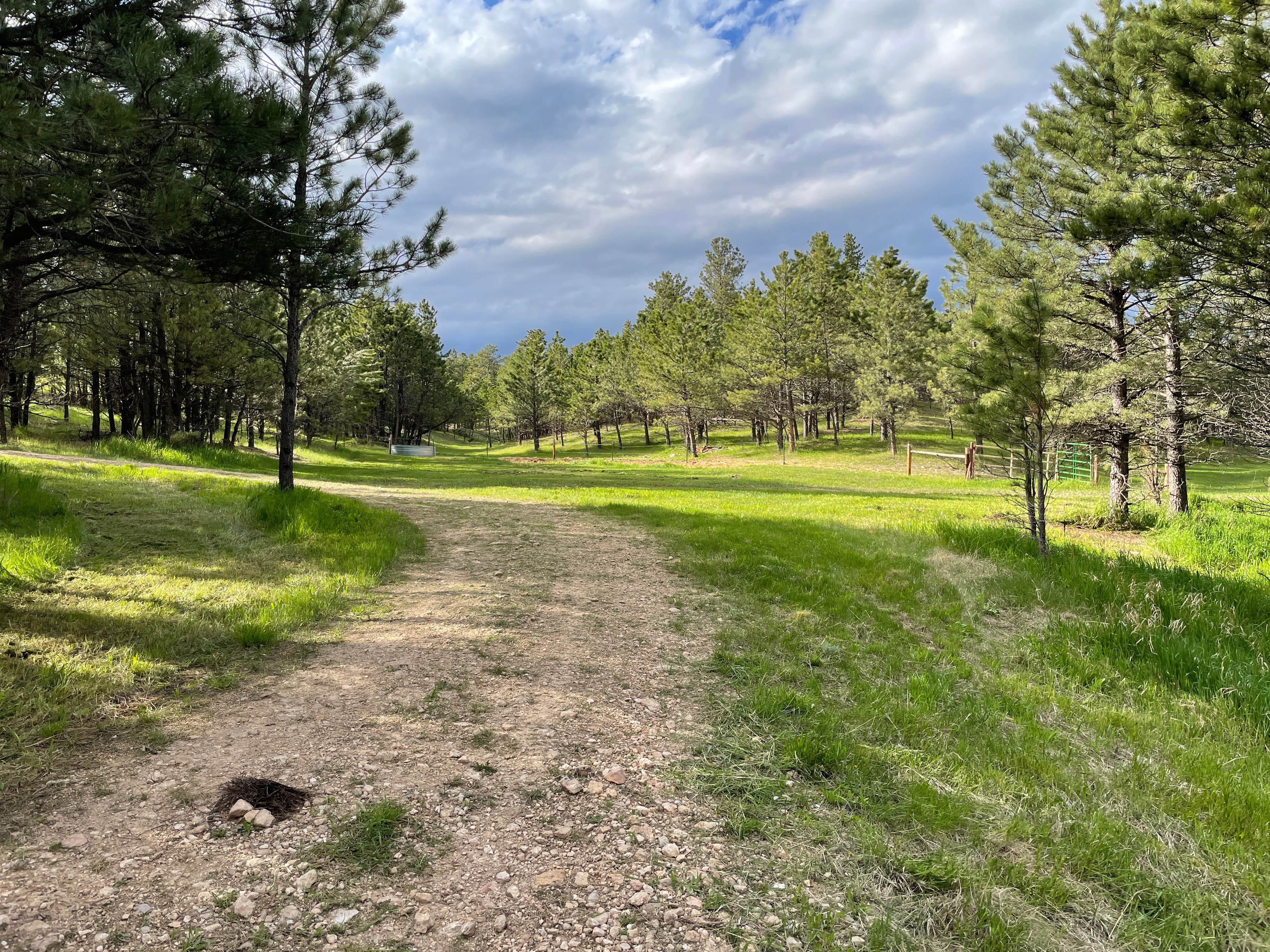 Camper-submitted photo at Opulent Acres near Buffalo Gap, SD