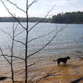 Review photo of Canoe Landing Group Campsite — James River State Park by Katrin M., June 7, 2018