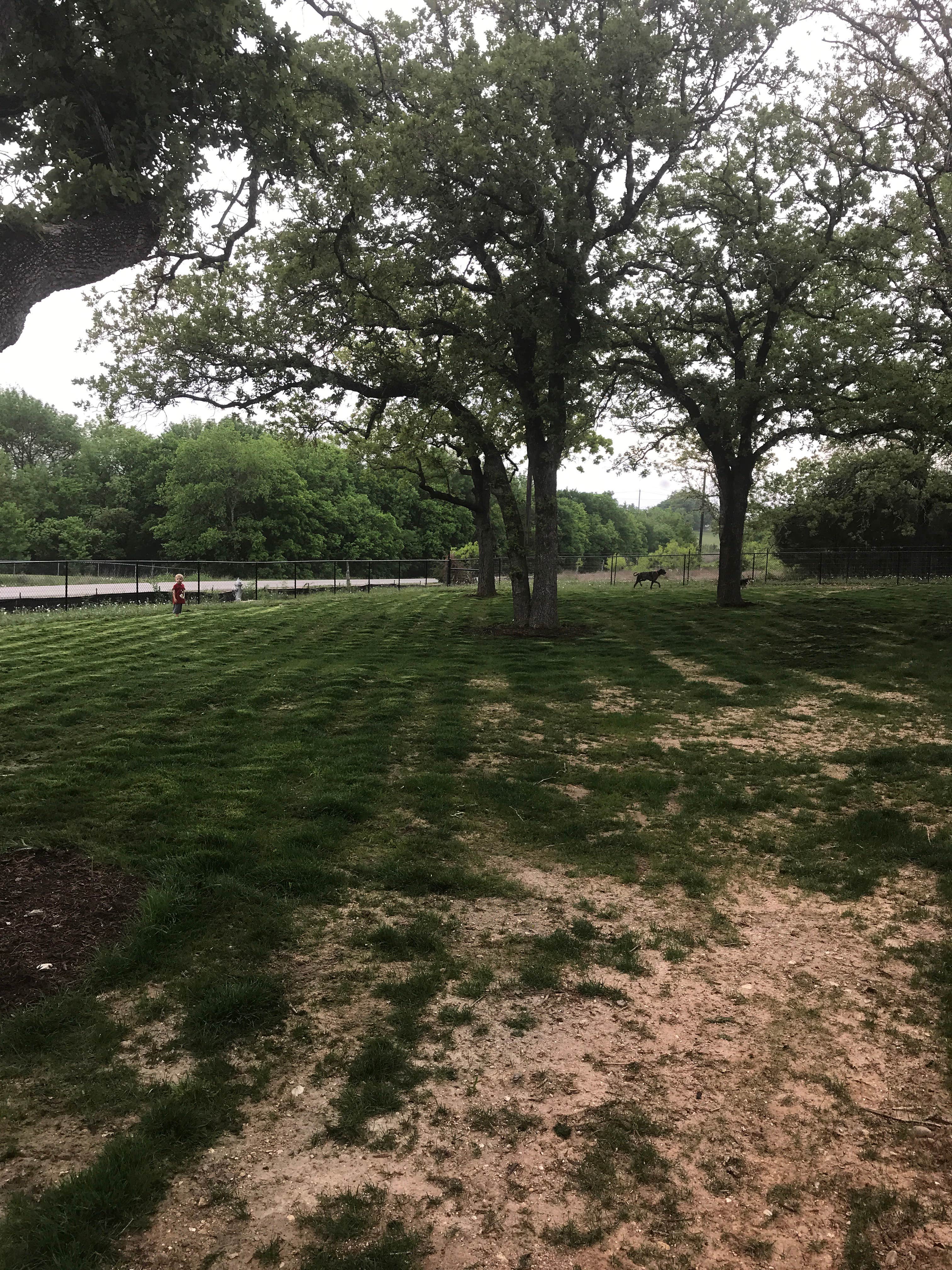 Camper-submitted photo at Austin East KOA near Austin, TX