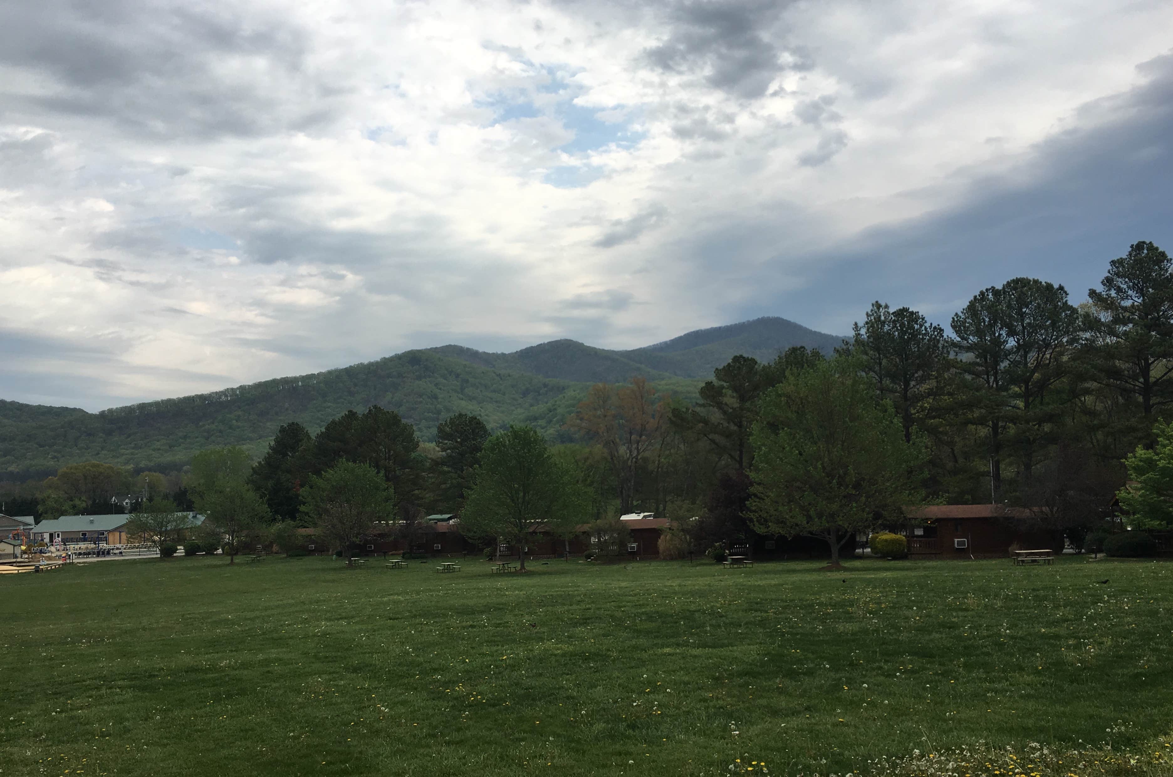 Camper submitted image from Yogi Bear's Jellystone Park Luray - 2