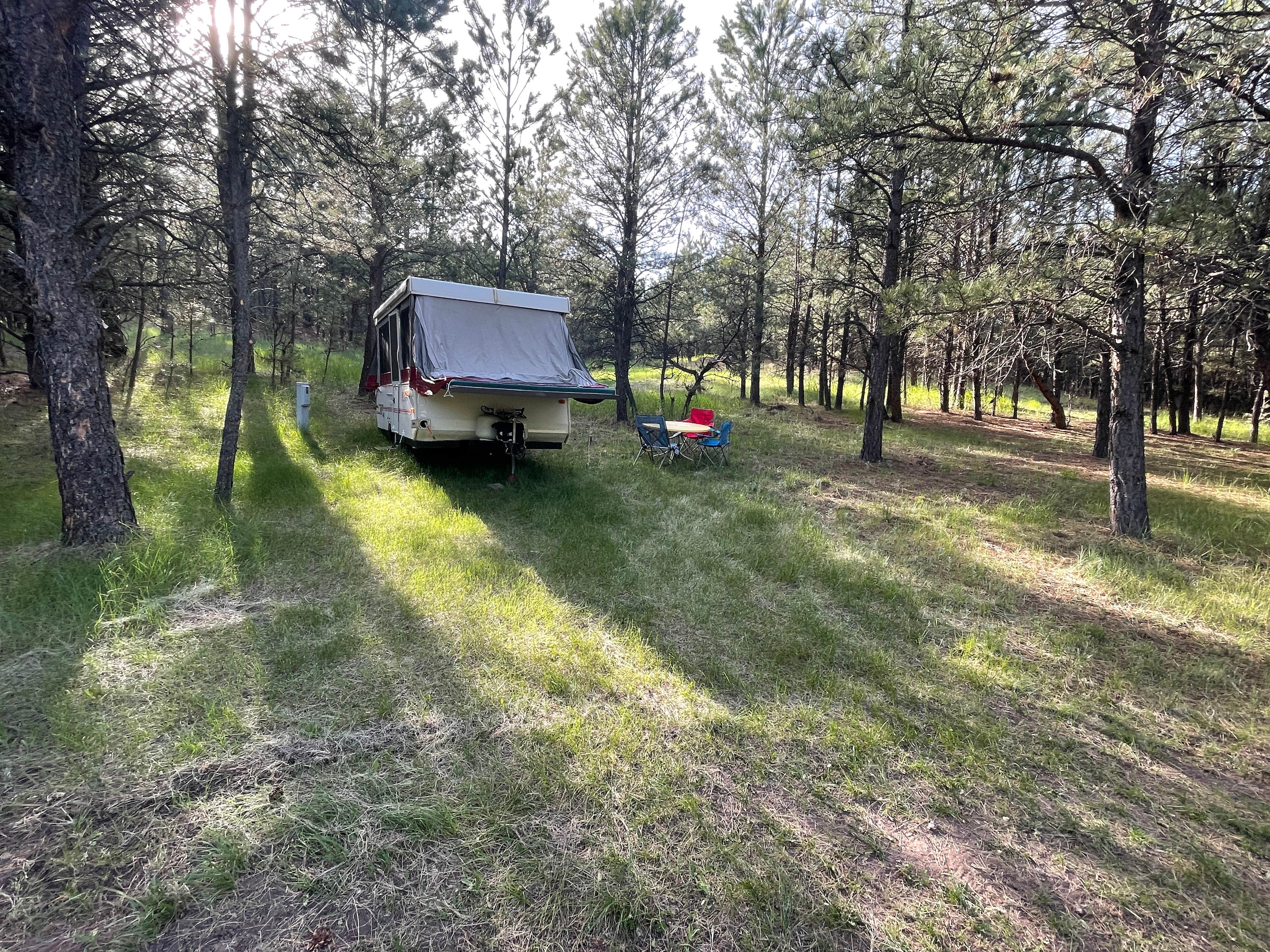 Heath S.'s photo at Opulent Acres near Wind Cave National Park
