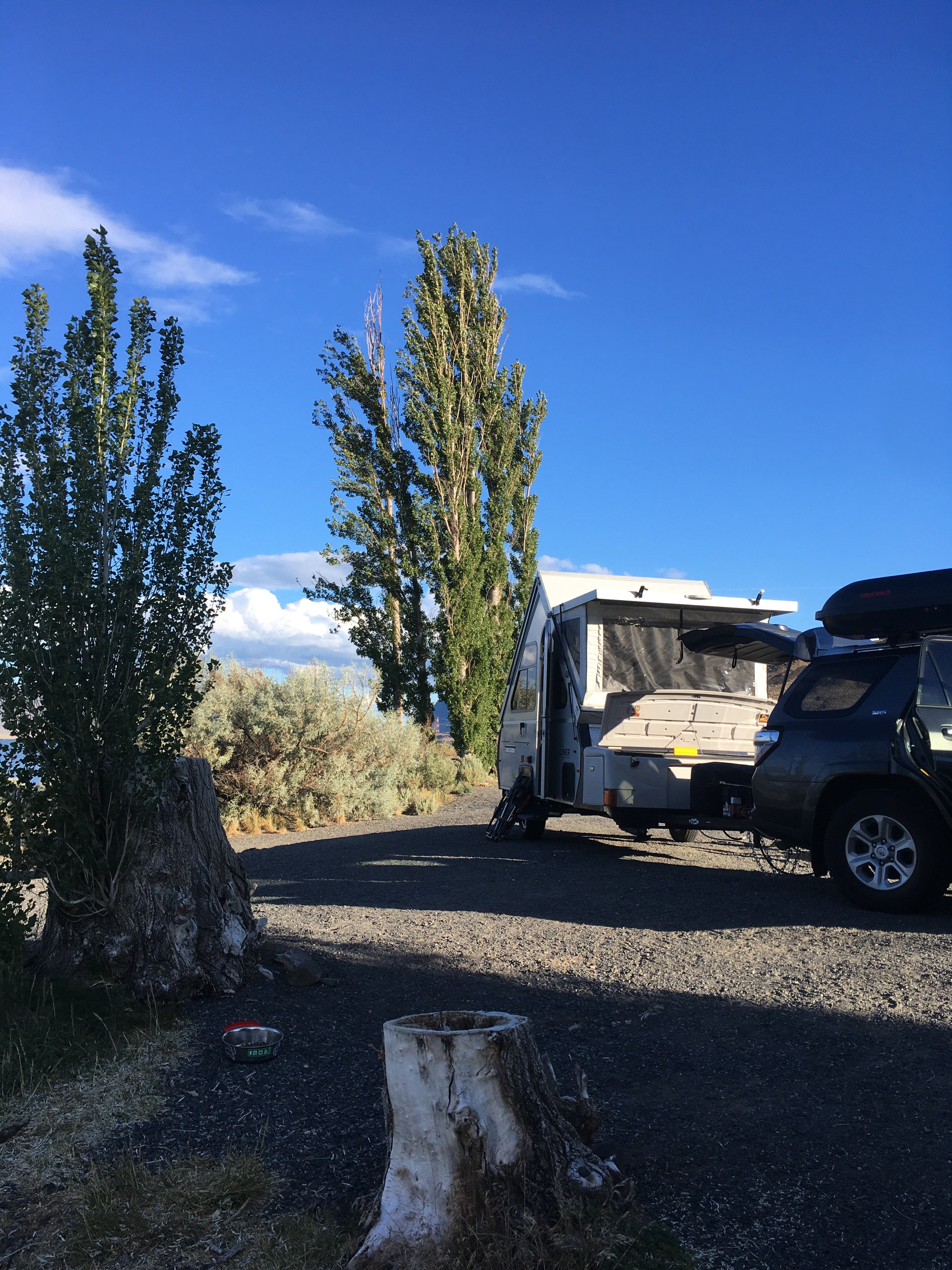 Camper submitted image from Ginkgo Petrified Forest State Park Campground - 1
