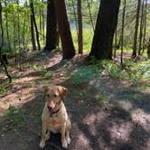 Review photo of Sandy Beach Lake Campground — Northern Highland State Forest by Caroline C., June 7, 2021