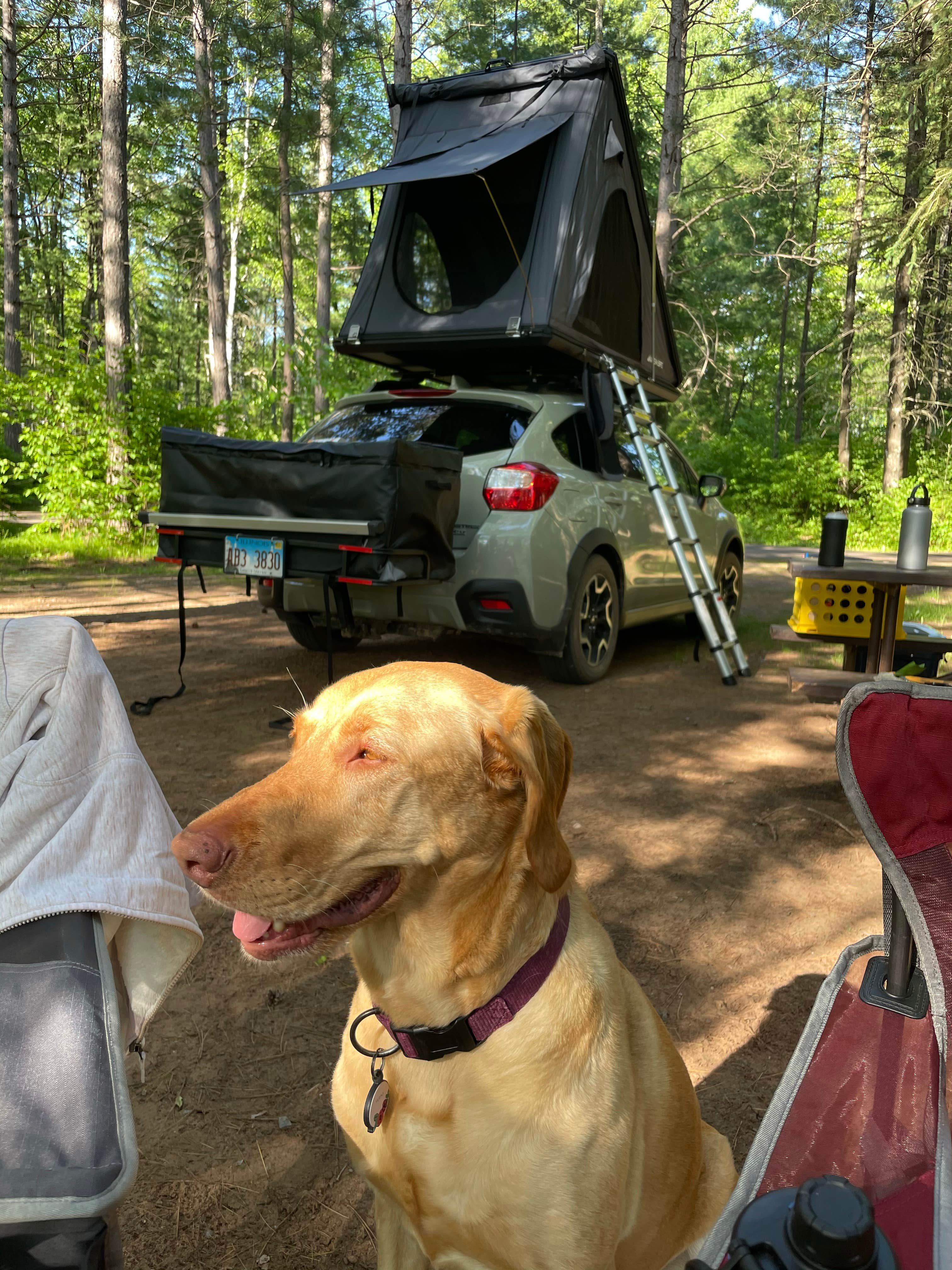 Caroline C.'s photo of camping with pets at Sandy Beach Lake Campground — Northern Highland - American Legion State Forest near Hazelhurst, WI