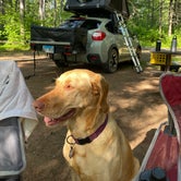 Review photo of Sandy Beach Lake Campground — Northern Highland State Forest by Caroline C., June 7, 2021