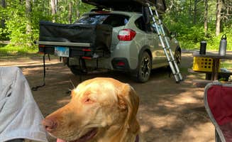 Caroline C.'s photo of camping with pets at Sandy Beach Lake Campground — Northern Highland - American Legion State Forest near Hurley, WI