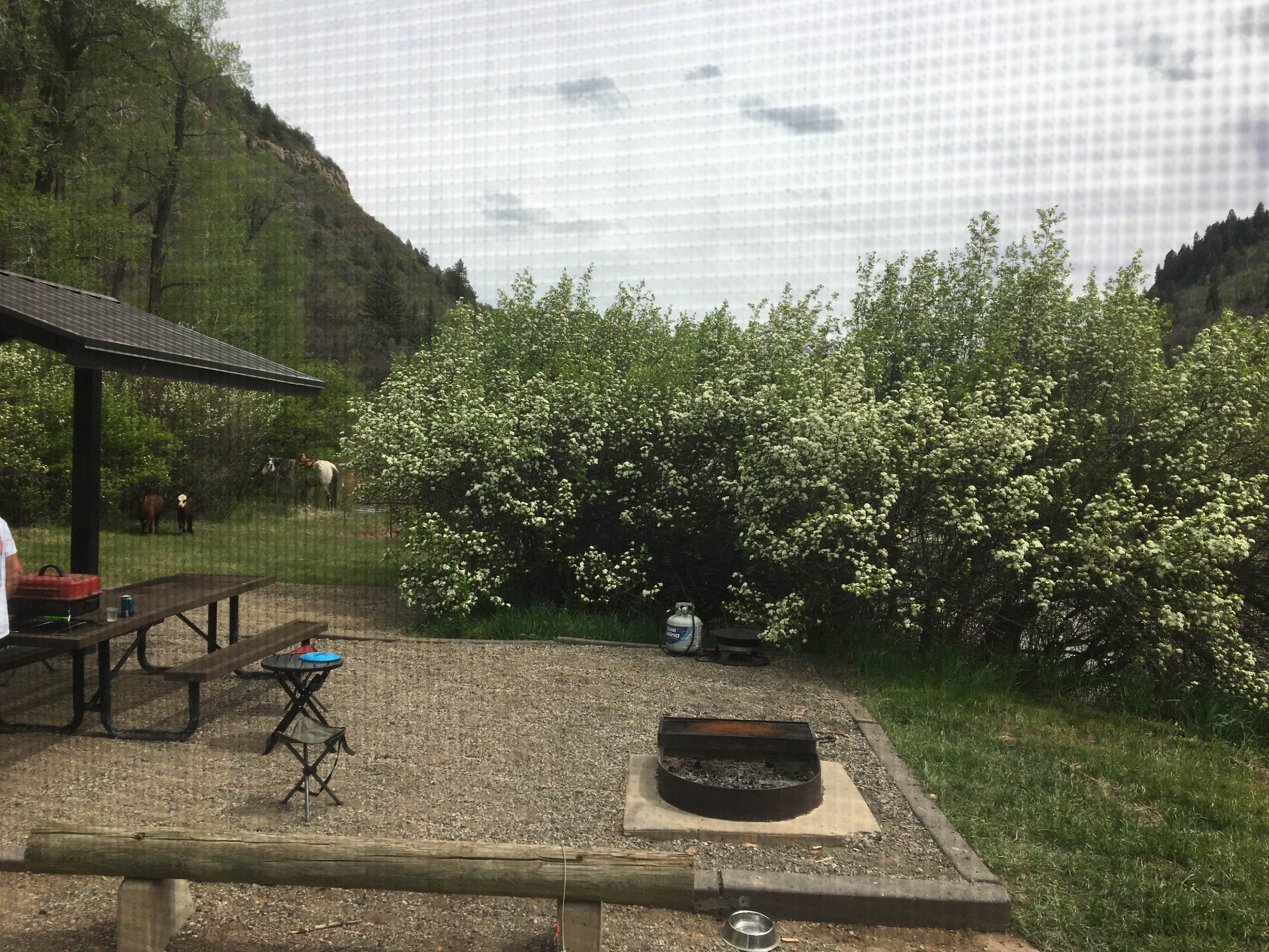 Camper-submitted photo at Paonia State Park Campground near Crested Butte, CO