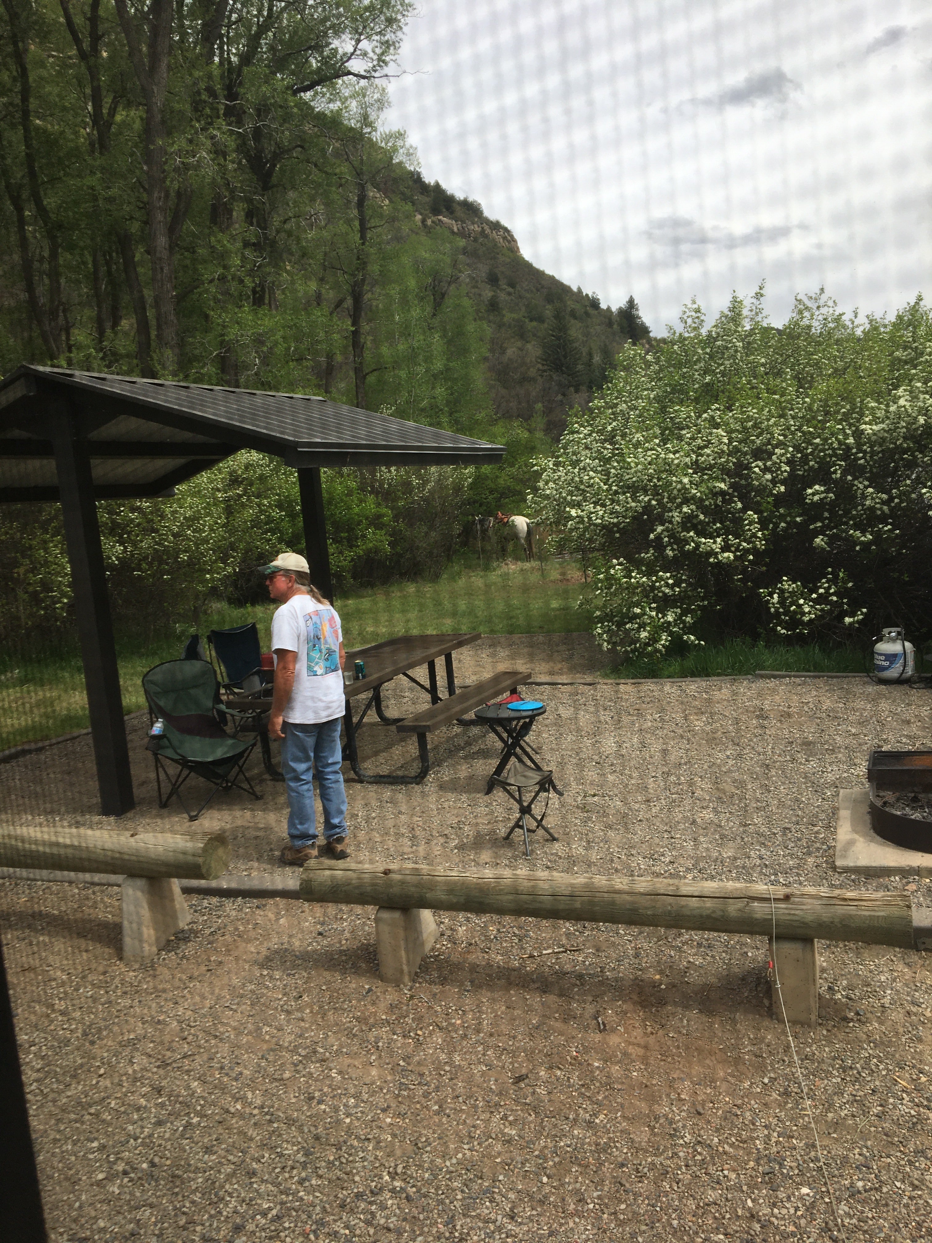 Camper submitted image from Paonia State Park Campground - 5