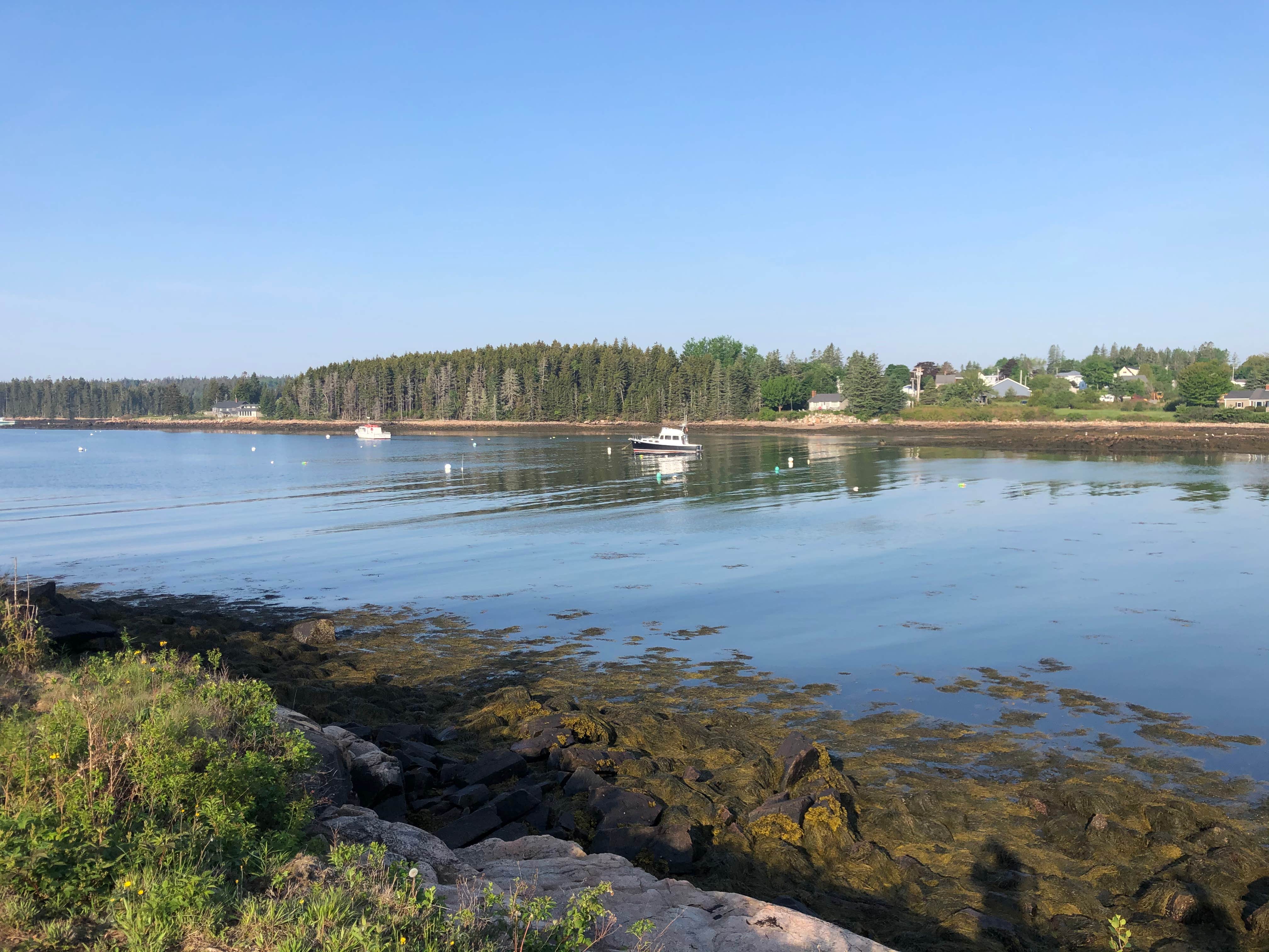 Camper-submitted photo at Mainstay Cottages & RV Park near Salsbury Cove, ME