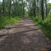 Review photo of Morgan Creek County Park by Dexter R., June 7, 2021