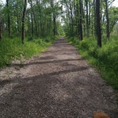 Review photo of Morgan Creek County Park by Dexter R., June 7, 2021