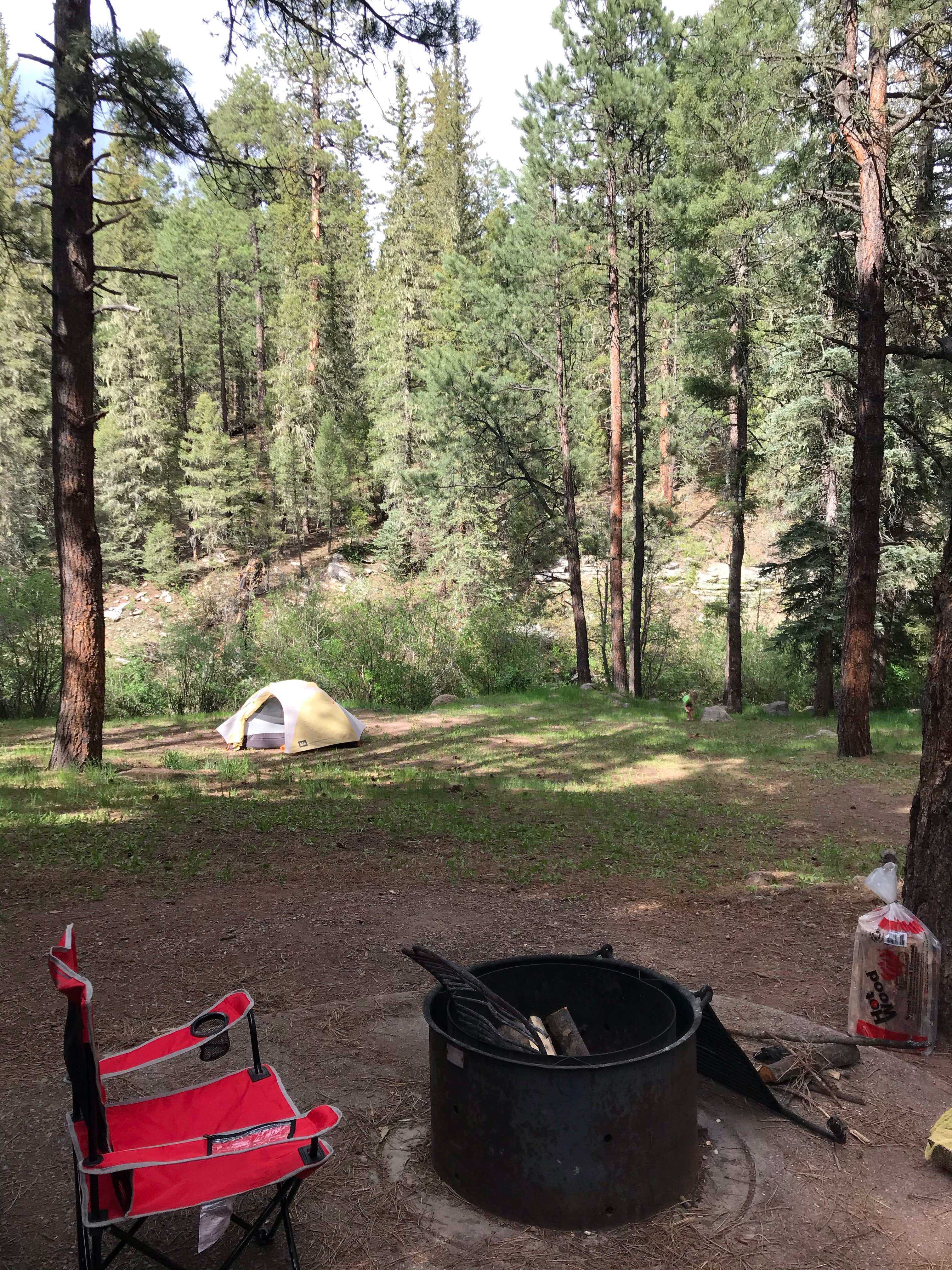 Camper submitted image from Rio De Las Vacas Campground - 5