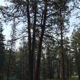 Review photo of Rio De Las Vacas Campground by Gavin J., June 7, 2021