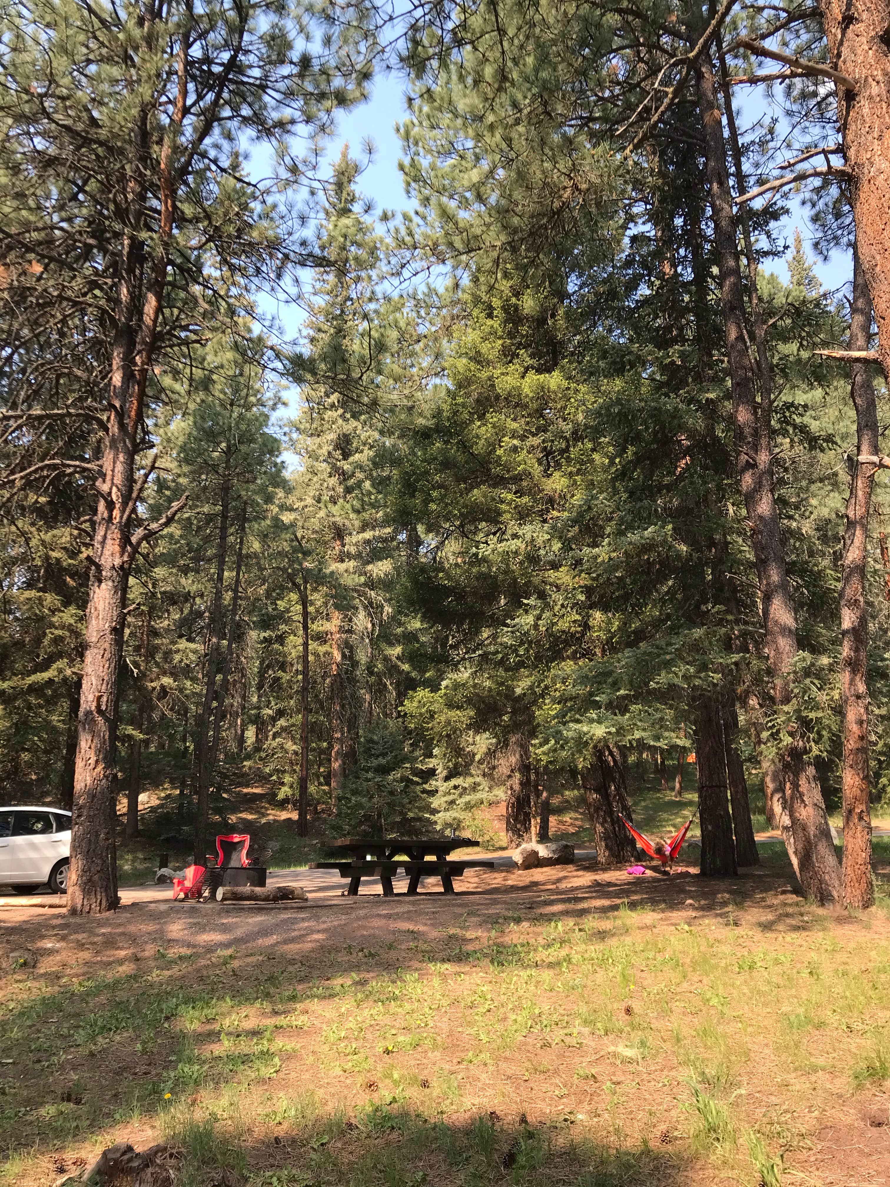 Gavin J.'s photo at Rio De Las Vacas Campground near Counselor, NM