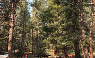 Gavin J.'s photo at Rio De Las Vacas Campground near Cuba, NM