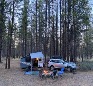 Camper-submitted photo from Sisters, Oregon - Dispersed Camping