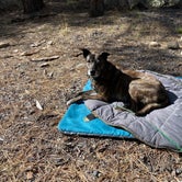 Review photo of Sisters, Oregon - Dispersed Camping by Sarah S., June 7, 2021