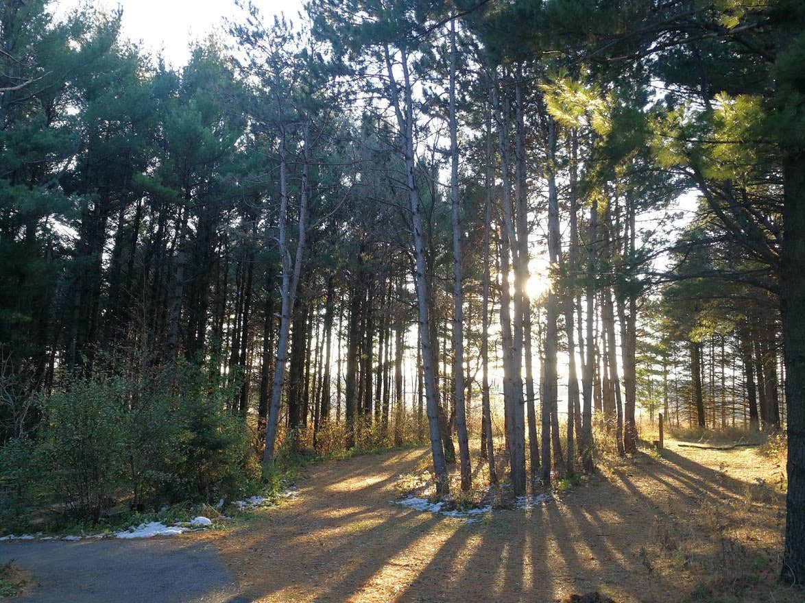 Camper-submitted photo at Whitetail Woods Camper Cabins near South Saint Paul, MN