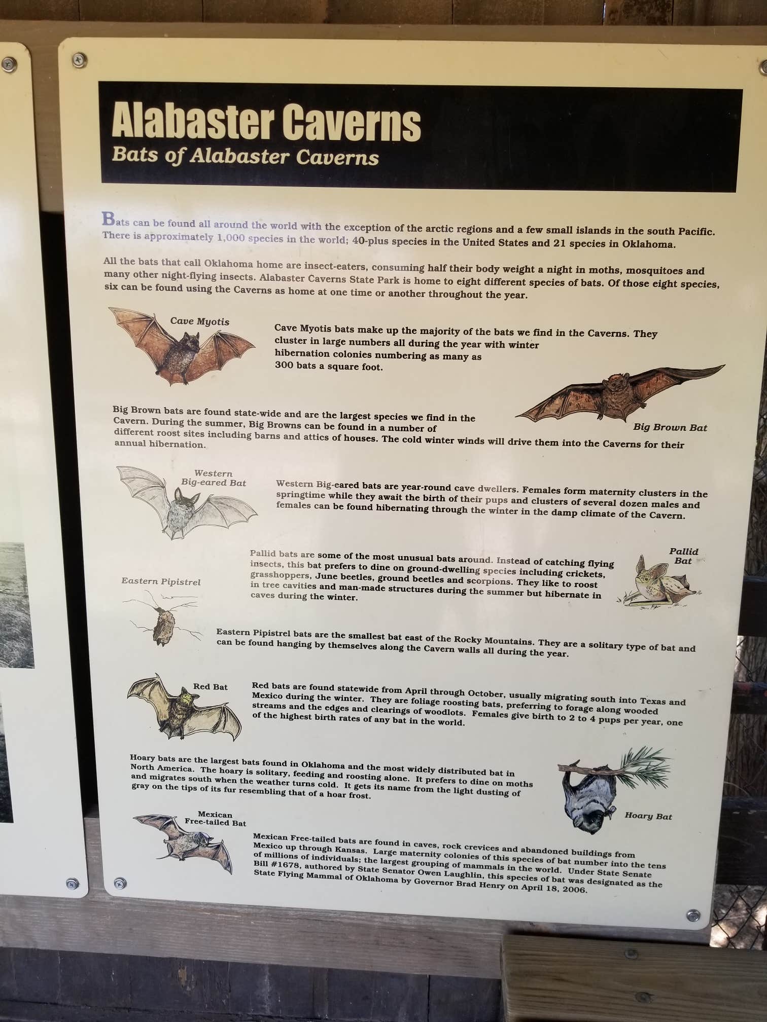 Camper-submitted photo at Alabaster Caverns State Park Campground near Waynoka, OK