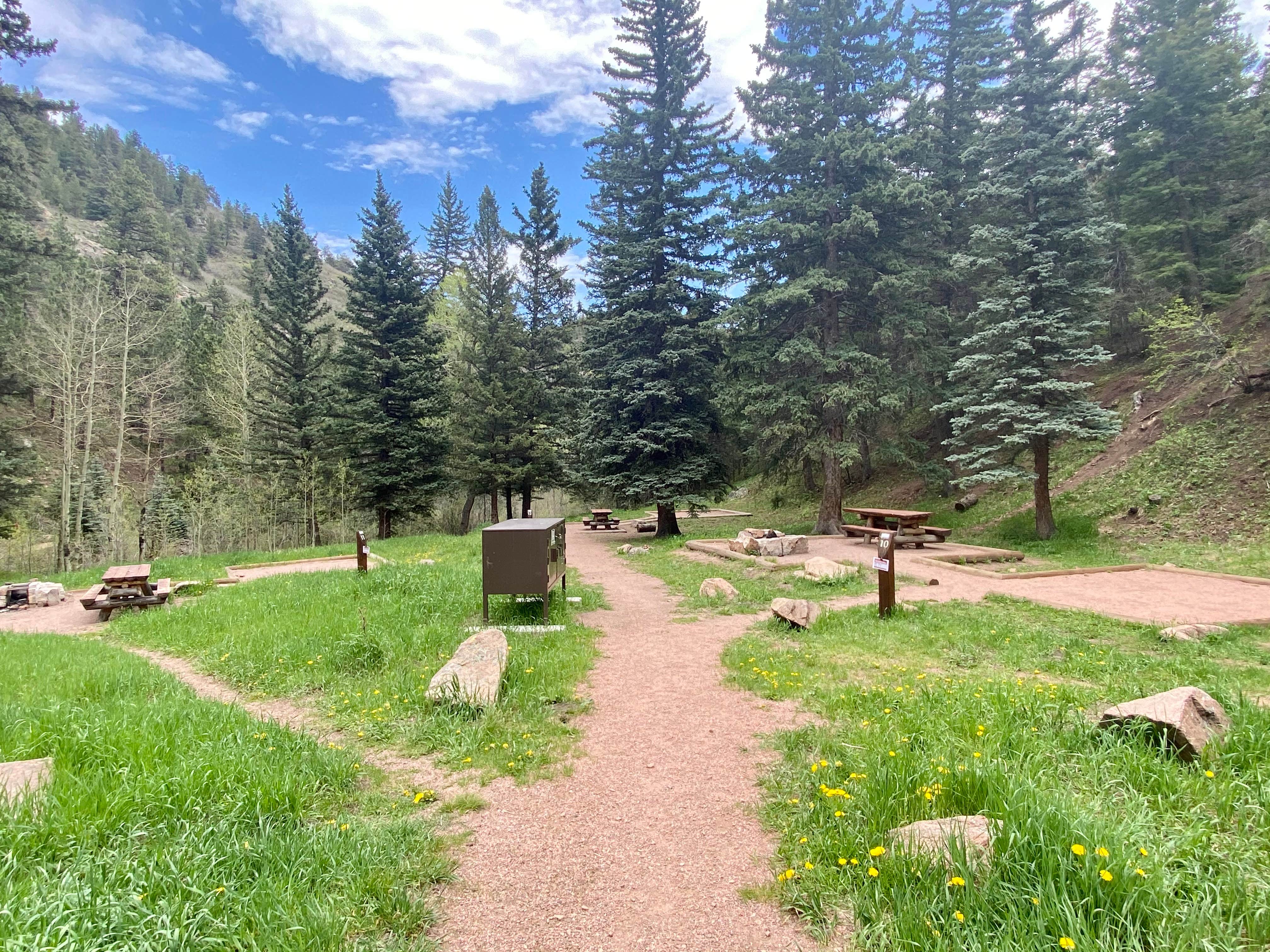 Camper submitted image from Davenport Campground - 4
