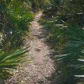 Review photo of Starkey Wilderness Preserve — Serenova Tract by Tim L., June 7, 2018