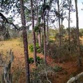 Review photo of Starkey Wilderness Preserve — Serenova Tract by Tim L., June 7, 2018