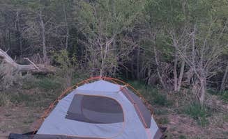 Caroline L.'s photo of camping with pets at Water Canyon Recreation Area near Winnemucca, NV