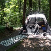 Review photo of Fort Mountain State Park Campground by Nicole R., June 7, 2018