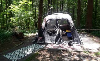 Nicole R.'s photo at Fort Mountain State Park Campground near Eton, GA