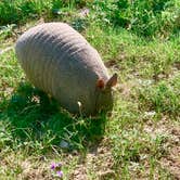 Review photo of South Llano River State Park Campground by Brian F., June 8, 2021