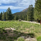 Review photo of Dixie National Forest Crackfoot Campground by Jaklyn C., June 8, 2021