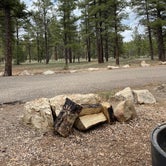 Review photo of Ten-X Campground — Grand Canyon National Park by Jaklyn C., June 8, 2021