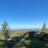 Review photo of Sunset Campground — Kings Canyon National Park by Michael D., June 8, 2021