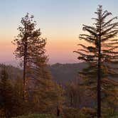 Review photo of Sunset Campground — Kings Canyon National Park by Michael D., June 8, 2021