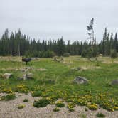 Review photo of Jumping Creek Campground by Angela G., June 8, 2021