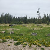 Review photo of Jumping Creek Campground by Angela G., June 8, 2021