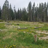 Review photo of Jumping Creek Campground by Angela G., June 8, 2021