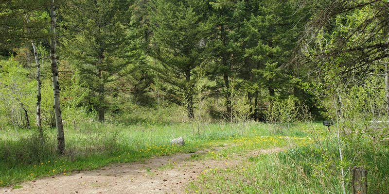 Camper submitted image from Aspen Campground