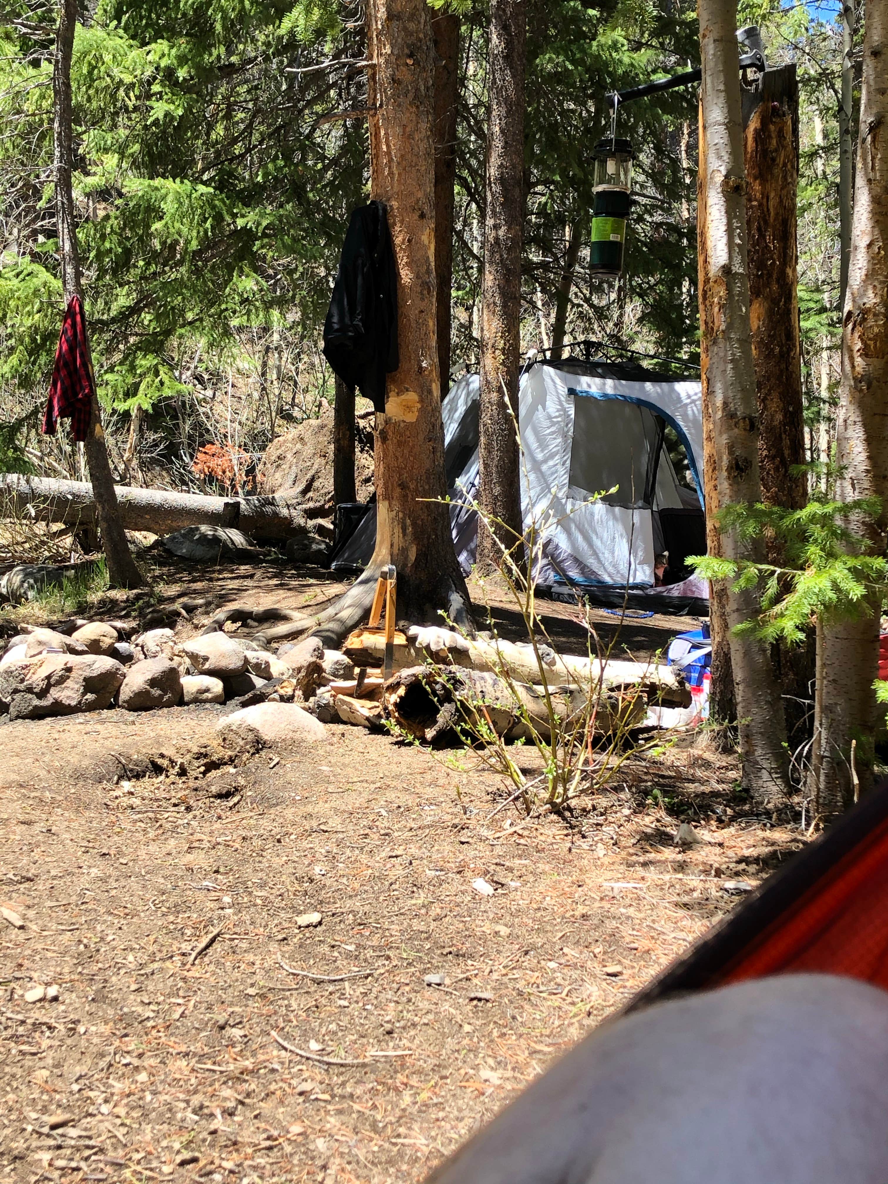 Craig J.'s photo at Fall River Campground near La Pine, OR