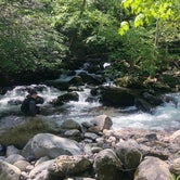 Review photo of Big Creek Campground — Great Smoky Mountains National Park by Alison W., June 8, 2021